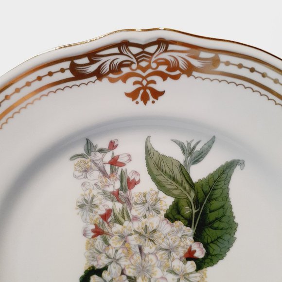 Andrea by Sadek, Golden Botanical by Thomas Curtis 1808 London Plate 10 1/2" - Picture 9 of 9